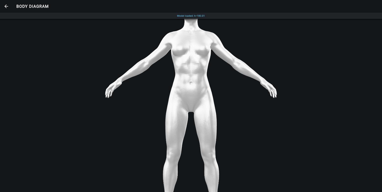 3D body model